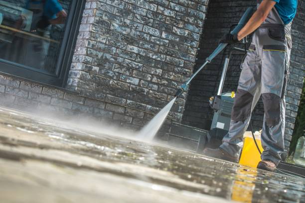 Animal Enclosure Cleaning in Medford, NY